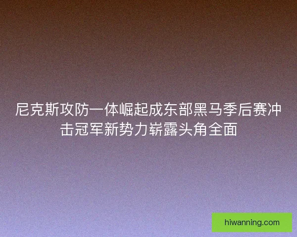 尼克斯攻防一体崛起成东部黑马季后赛冲击冠军新势力崭露头角全面